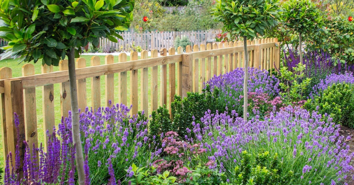 6 Trending Styles of Garden Fences
